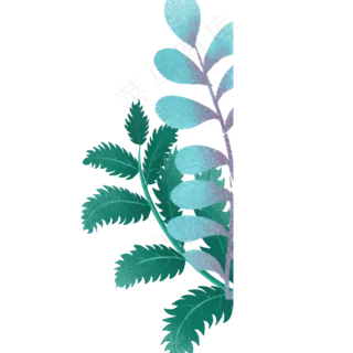 叶子春季自然植物