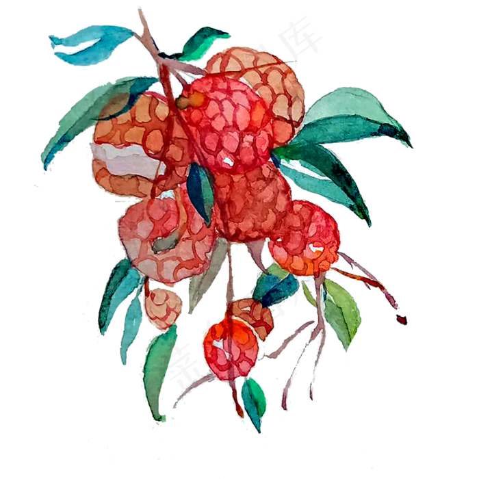 荔枝岭南甜美妃子笑PNG六月鲜(3000X3000(DPI:300))psd模版下载