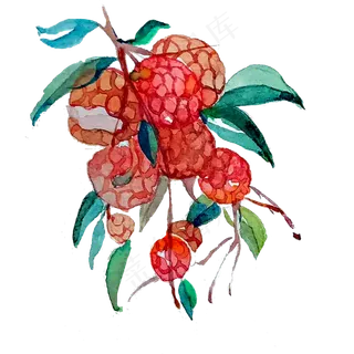 荔枝岭南甜美妃子笑PNG六月鲜