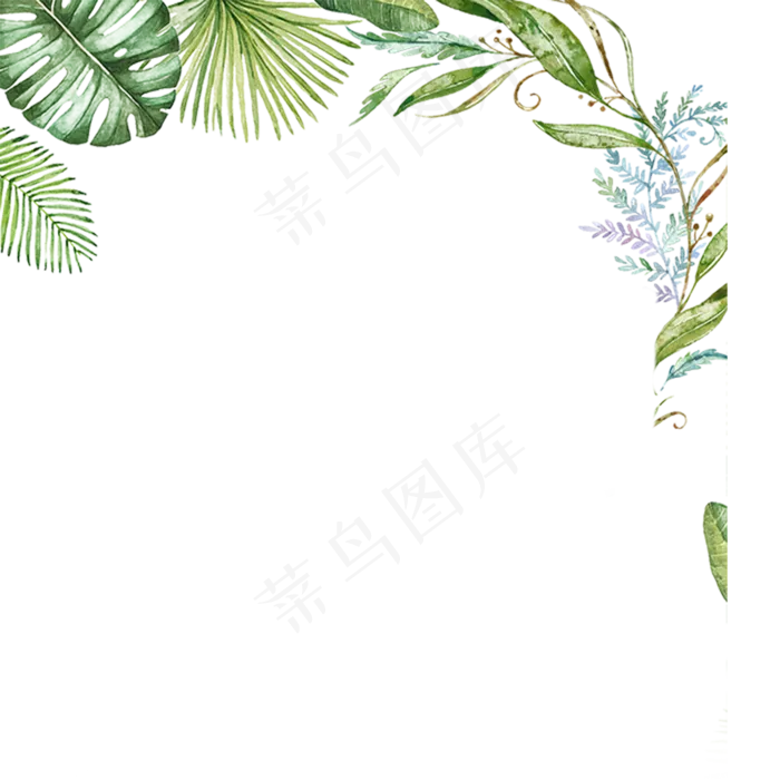春天绿色植物(2000*2000px 300 dpi )psd模版下载