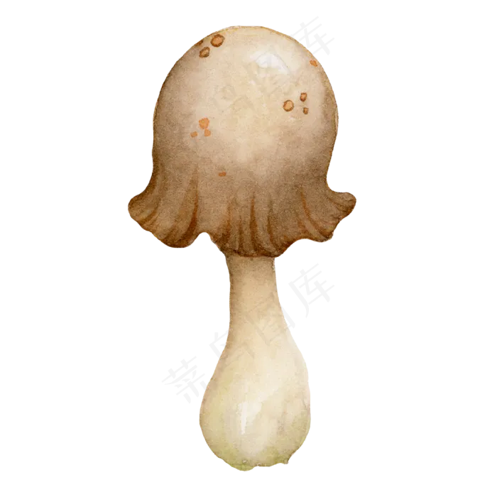 水彩秋日雨后蘑菇ai矢量模版下载