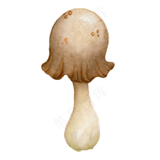 水彩秋日雨后蘑菇