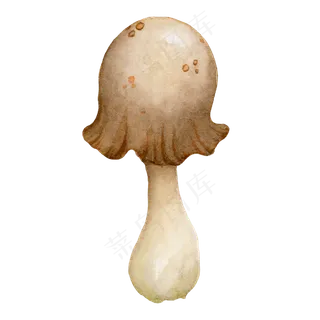 水彩秋日雨后蘑菇
