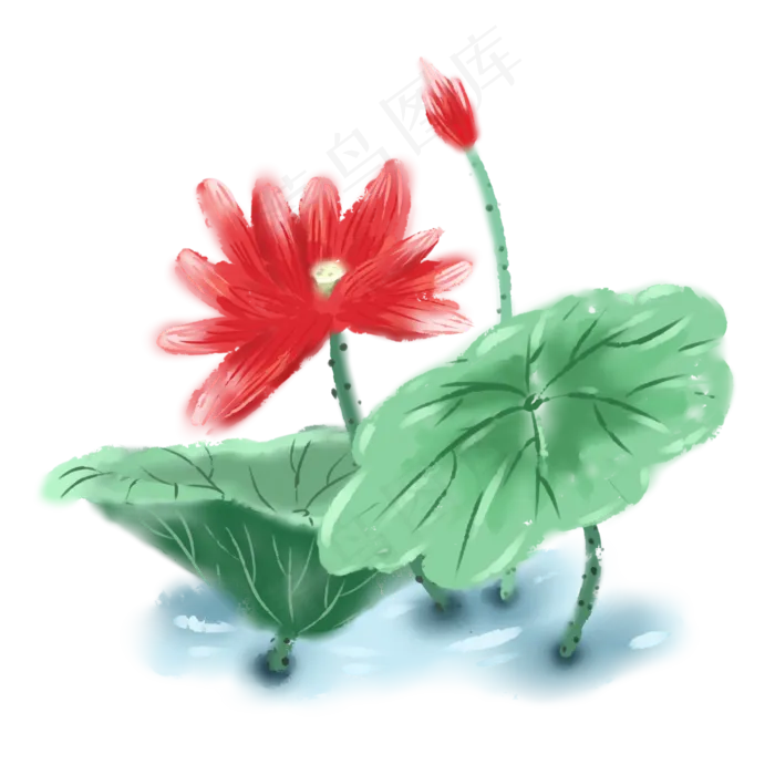 手绘荷花PNG免抠图(2400X2400(DPI:300))psd模版下载