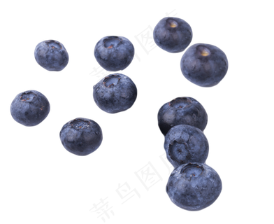 营养好吃的蓝莓健康