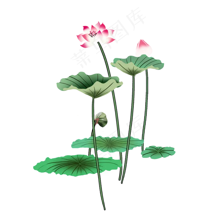 可商用手绘高清荷花荷叶可商用元(2000X2000(DPI:150))psd模版下载