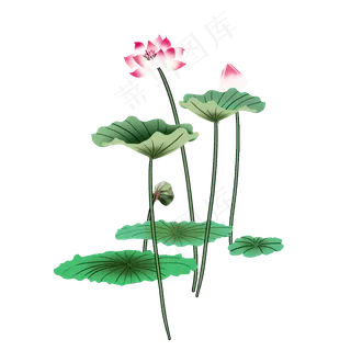 可商用手绘高清荷花荷叶可商用元