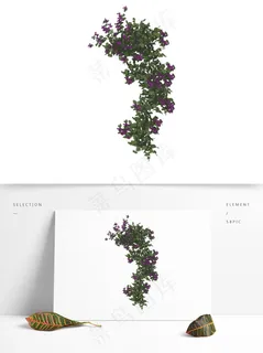 简约扁平卡通花草紫薇花植物元素