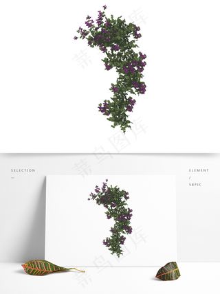 简约扁平卡通花草紫薇花植物元素