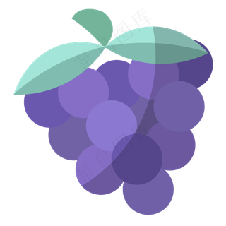 葡萄图标