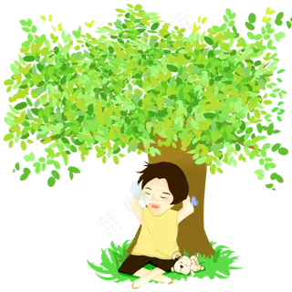 夏至绿树男孩睡觉