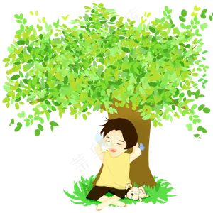 夏至绿树男孩睡觉