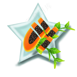 果水果瓜木瓜木瓜籽五星盘子