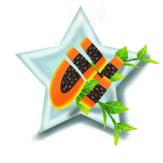 果水果瓜木瓜木瓜籽五星盘子