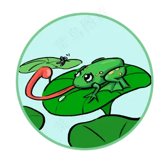 24节气立夏小青蛙