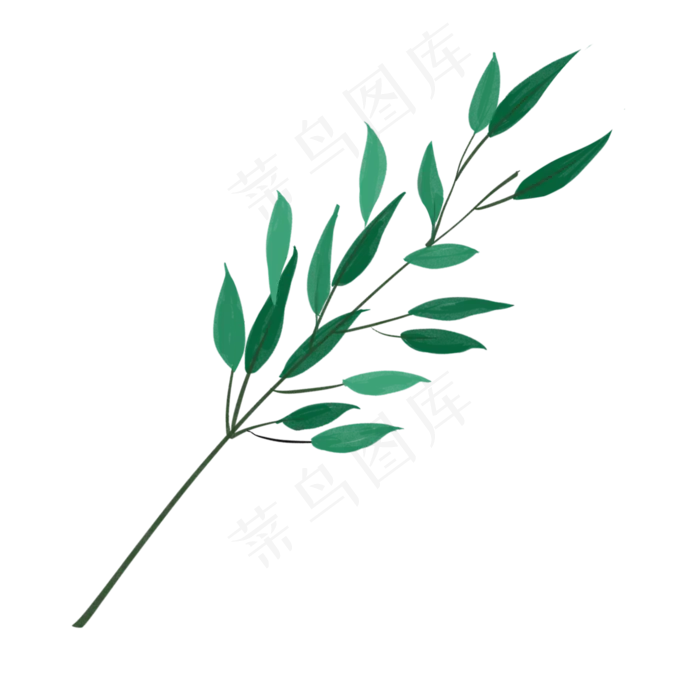手绘绿植小清新桉树叶,免抠元素