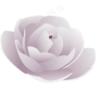 白色花骨朵矢量玫瑰