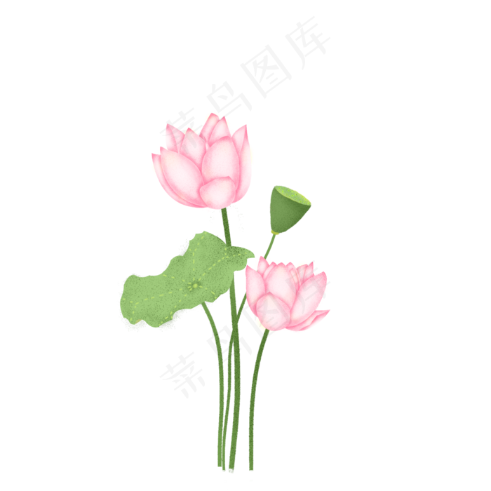 荷花荷叶莲蓬装饰