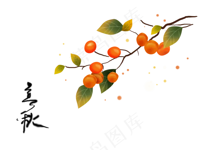 立秋节气手绘金黄的柿子,免抠元素(3508*2480px 300 dpi )psd模版下载
