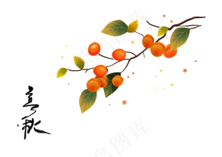 立秋节气手绘金黄的柿子,免抠元素