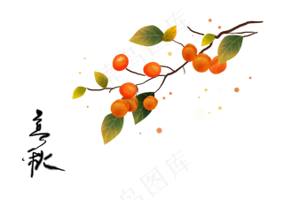 立秋节气手绘金黄的柿子,免抠元素