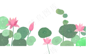 荷花荷叶