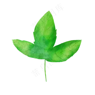 春天绿色水彩树叶