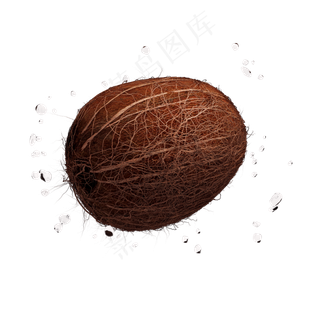 仿真椰子png图