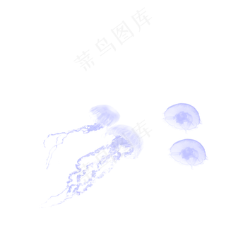 海洋生物紫色水母元素,免抠元素