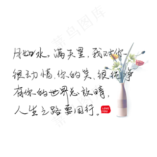 月如水满天星我对你很动情你的笑很纯净有你世界总放晴人生之路要同行