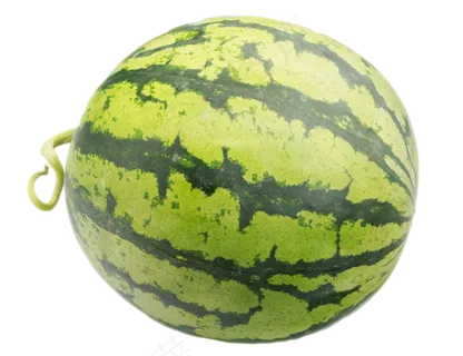 一个水果西瓜