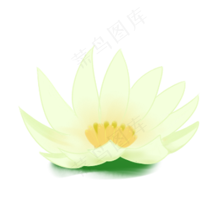 漂亮的荷叶免抠图