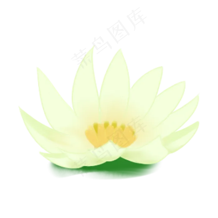 漂亮的荷叶免抠图(2000X2000(DPI:300))psd模版下载