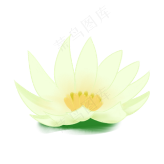 漂亮的荷叶免抠图