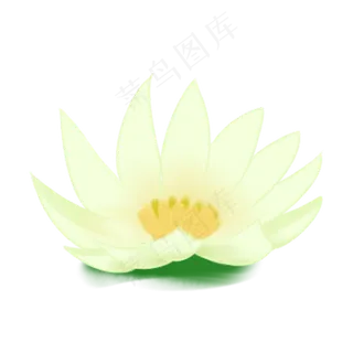 漂亮的荷叶免抠图 漂亮的荷叶免抠图