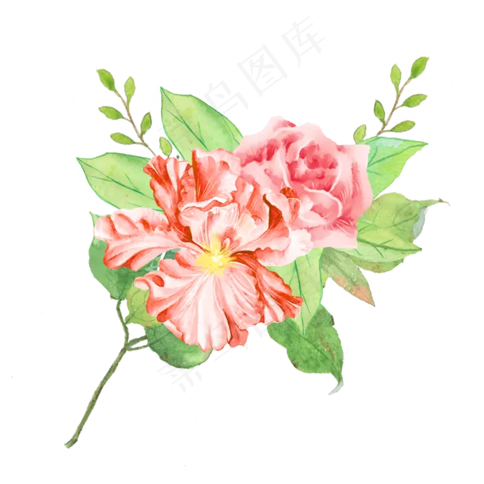 水彩鲜花植物花朵素材,免抠元素(2000*2000px 300 dpi )psd模版下载