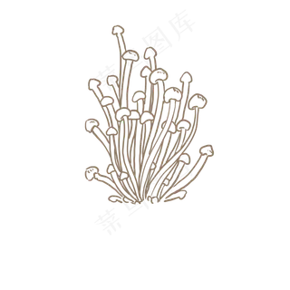 线性速写金针菇PNG