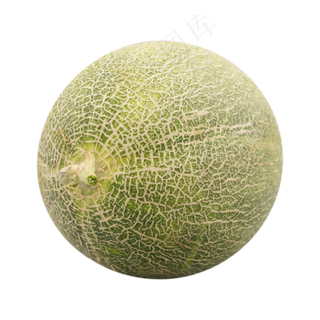 绿色圆形哈密瓜