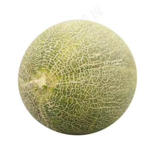 绿色圆形哈密瓜