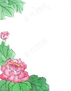 国画水墨芙蓉花牡丹装饰花鸟边框,免抠元素