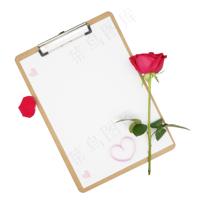 夹板纸张玫瑰