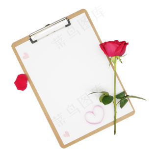 夹板纸张玫瑰
