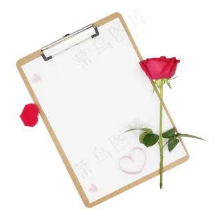 夹板纸张玫瑰