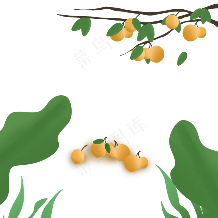 大暑小暑节气物品枇杷(2000X2000(DPI:300))psd模版下载