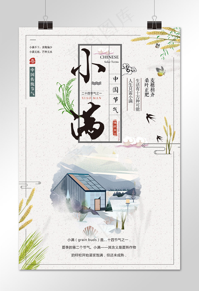 小满  节日素材 二十四节气 中华传统节日 简约