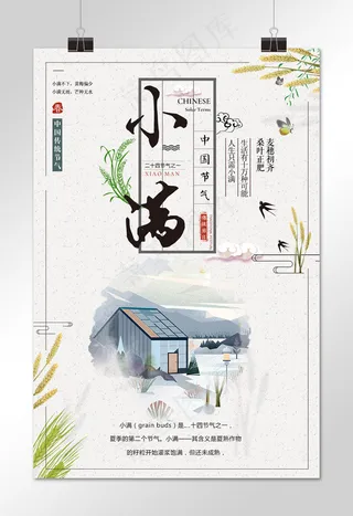 小满  节日素材 二十四节气 中华传统节日 简约