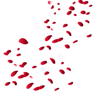 洋洋洒洒的玫瑰花瓣