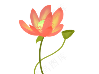 一朵红色荷花插图