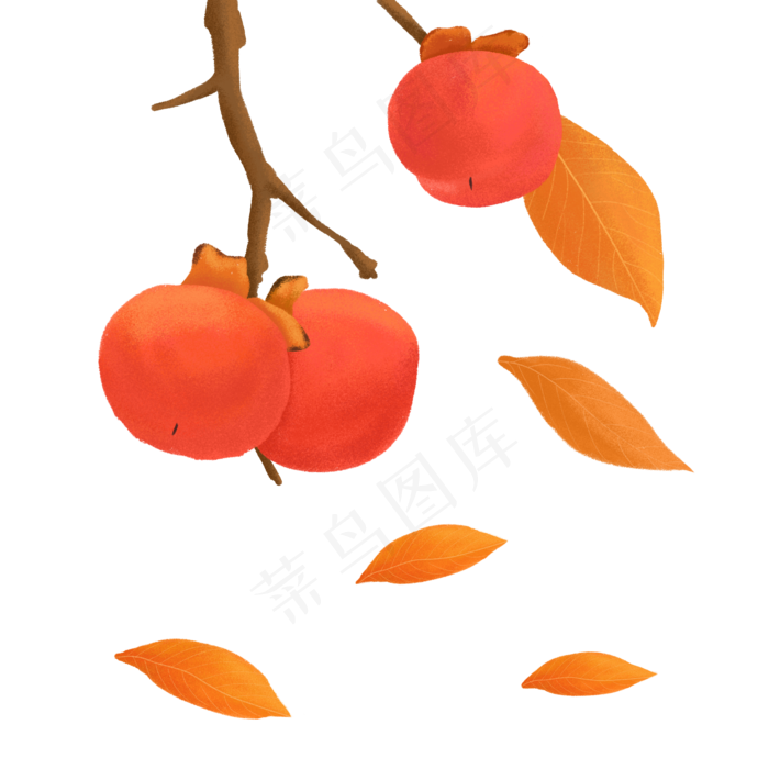 手绘秋天的果实之柿子(2000X2000(DPI:300))psd模版下载