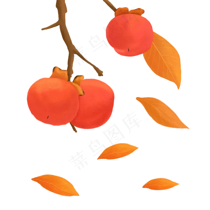 手绘秋天的果实之柿子(2000X2000(DPI:300))psd模版下载